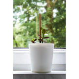 Trend Glass Vera White Glass Flowerpot 170mm for Plants